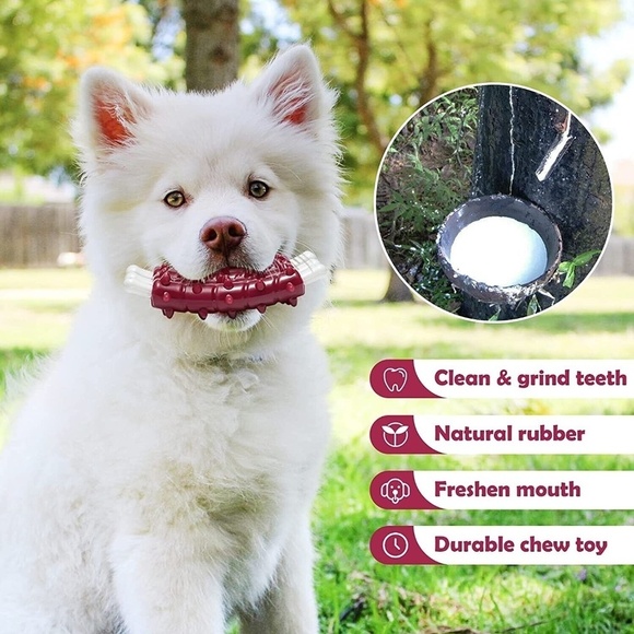 Dog Chew Toys Durable Nylon Aggressive Chewers Clean Teeth Lamb Chop - Picture 3 of 7